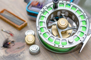 TRAXX Caps: SDP Reel