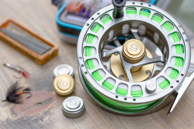 TRAXX Caps: SDP Reel